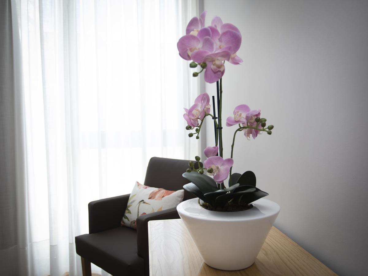 Hotel Novoa ซาร์เรีย ภายนอก รูปภาพ